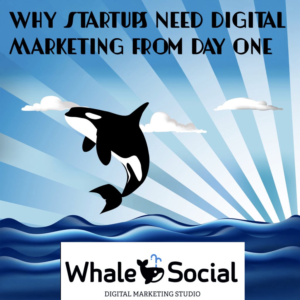 Stratups need digital marketing whalesocial